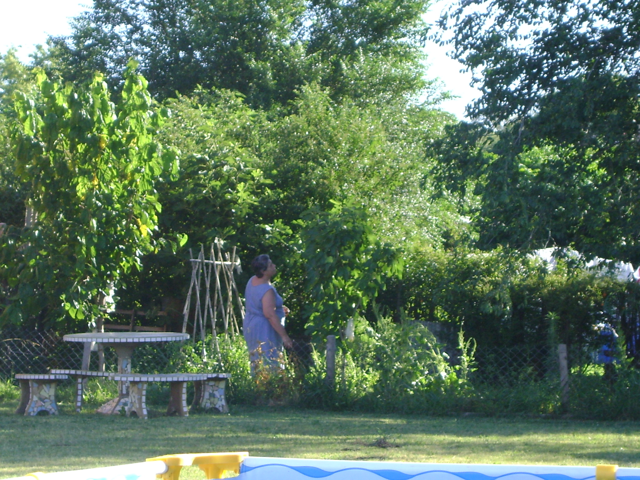 fotos/2010-12-08 - Iara bici y pileta/DSC03041.JPG